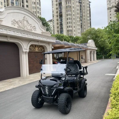 Black 48V Electric Club Carts 2 4 6 8 asientos Carros de golf