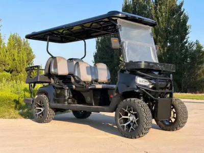 Nuevo producto Mini Golf Cart 48V 60V Custom Electric off Carros de golf para el concesionario