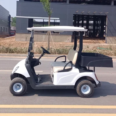 CE Road Legal Golf Carts / batería de litio eléctrico Golf Carts