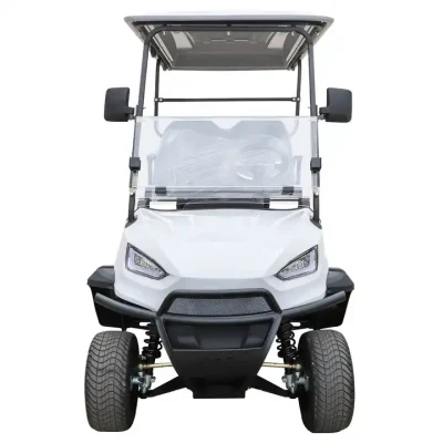 Custom 2+2 silla Mini en carretera eléctrico Golf Buggy Cart Con panel de control de pantalla grande
