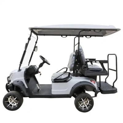 Custom 2+2 silla Mini en carretera eléctrico Golf Buggy Cart Con panel de control de pantalla grande