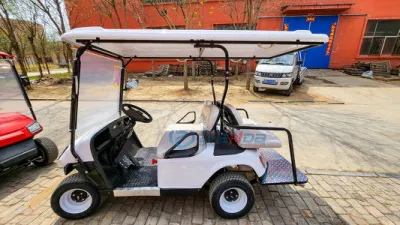 Personalizado de alto rendimiento asiento eléctrico de 4 carros de golf Golf Club de Buggy eléctrico coche carro de golf Golf Kart para la venta