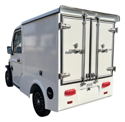 C20 camioneta de vehículos eléctricos camión eléctrico Mini eléctrico Camión para la entrega de carga urbana