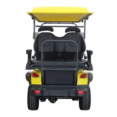 OEM Street Legal Approved Road Golf Buggy batería de litio eléctrico Carrito de Golf para 4 pasajeros