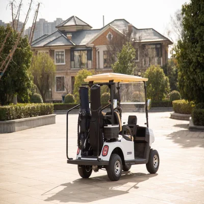 Carrito eléctrico de Golf para 2 pasajeros