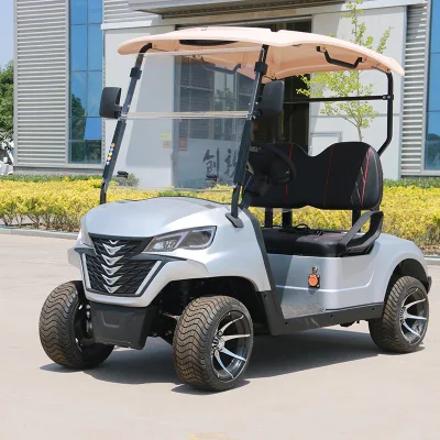 Super calidad Golf Buggy 2 asientos Forge G2 Electric Golf Carro
