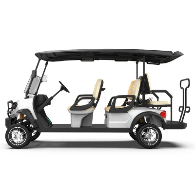 Terrfic bonito 5kw carros eléctricos del vehículo Buggy Buggies Carrito de golf