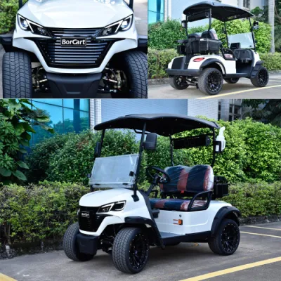 4 rueda de litio Golf vehículo eléctrico de ATV UTV LSV