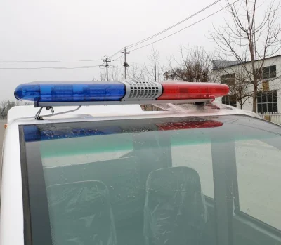 Alimentación directamente de fábrica listo para el envío del vehículo eléctrico coche eléctrico con la policía de la luz de alarma