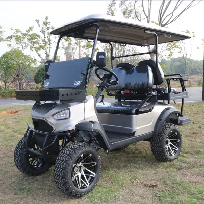 2023 60V 5000W 2 pasajeros UTV Golf Cart con grande Compartimentos de almacenamiento
