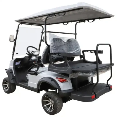 Custom 2+2 silla Mini en carretera eléctrico Golf Buggy Cart Con panel de control de pantalla grande