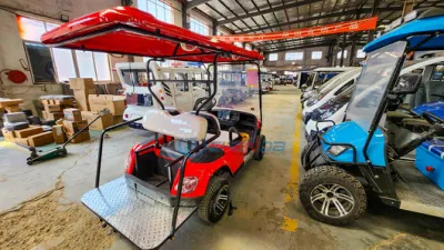 Personalizado de alto rendimiento asiento eléctrico de 4 carros de golf Golf Club de Buggy eléctrico coche carro de golf Golf Kart para la venta