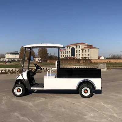 Batería de Golf de carga de litio Golf Cart buggy con remolque Caja