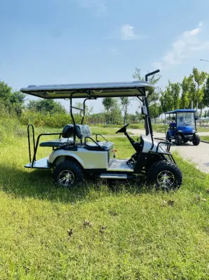 48V/72V 5kw Electric Precio cochecito de golf de Hummer, carritos de golf pasajero