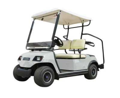 2022 de turismo de golf eléctrico Bus blanco de 2 carros de golf eléctrico del asiento (LT-A2).