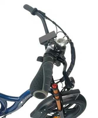 Jinhua E personalizado nuevo fabricante de bicicletas eléctricas de la batería del vehículo eléctrico bicicletas Fat