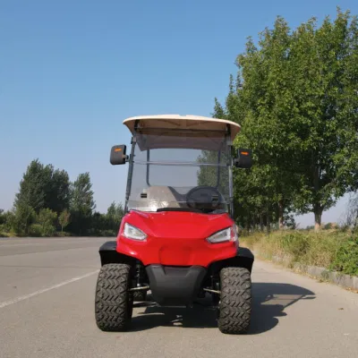 Aprobación CE vecino Turismo Buggy 2 plazas Utilidad Mini Golf Carro