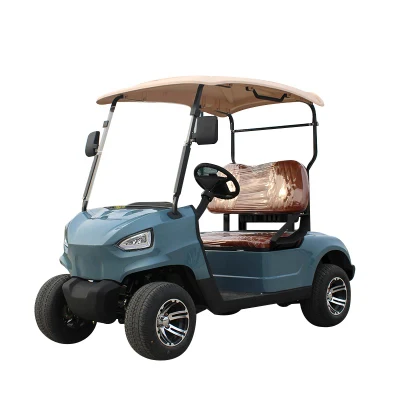 Fábrica directamente Calle Legal Club coche eléctrico Golf Cart Buggy Precios de venta
