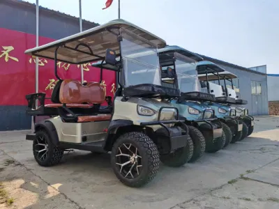 Coleman Electric Golf Cart 2 navegantes Legal Street Golf Cart Batería de litio para la venta Servicios de Golf motorizado Carro de empuje personal Carros de golf eléctricos