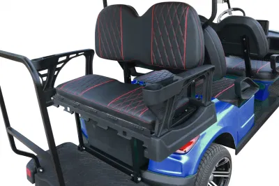 Dachi 4+2 Personal de los asientos de la utilidad de carros de golf Mini Coche eléctrico