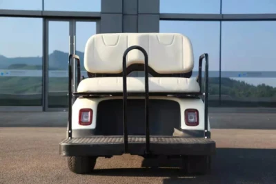 CE aprobada alimentado con batería de carro/coche de golf en venta