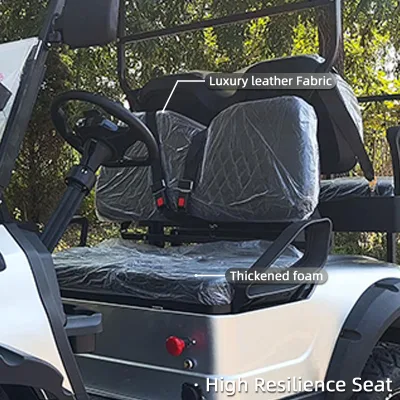 Batería de plomo-ácido/ litio 4 asiento de lujo pequeño rendimiento avanzado deportivo EV LSV Classic Electric Car Golf Carro a la venta