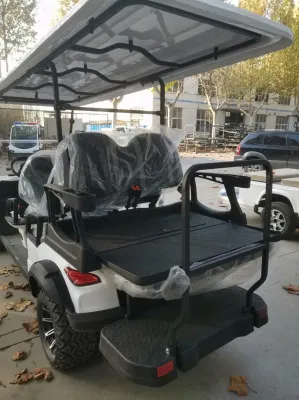 Lujo LSV 6 asientos 72V litio Buggy fuera de caza de carretera Carrito de Golf