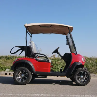 Aprobación CE vecino Turismo Buggy 2 plazas Utilidad Mini Golf Carro