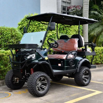Electric Go Kart IP66 Standard Waterproof Golf Cart Precio mayorista