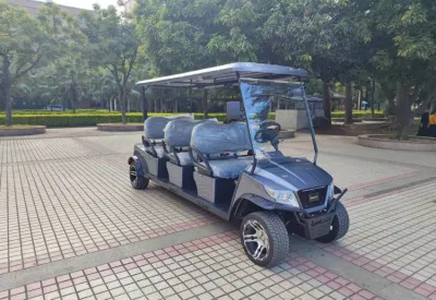 Buen servicio de exportación de embalaje 3-4 China Gas Best Electric Carts Carrito de Golf