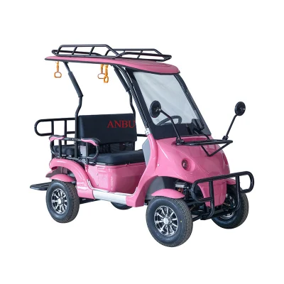 Club de Golf Alquiler de pilas de la fábrica China Custom las cuatro ruedas del vehículo eléctrico