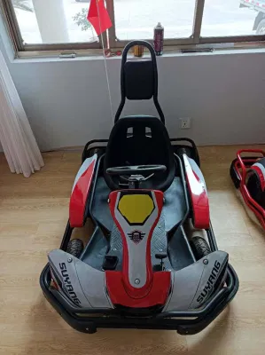 La mejor calidad de 2000W Mini kart pedal eléctrico adulto Mini kart para la venta