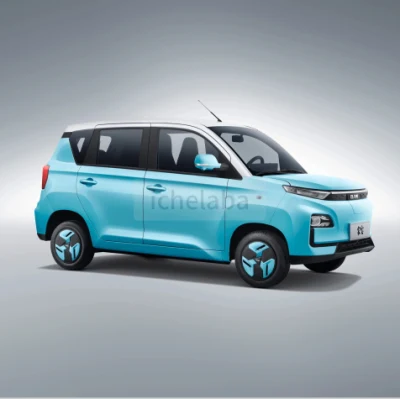 BEV Car High Speed EV BAW Brumby vehículo eléctrico de lujo Mini coche eléctrico al por mayor para adultos