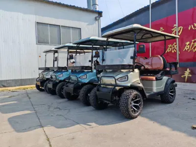 Coleman Electric Golf Cart 2 navegantes Legal Street Golf Cart Batería de litio para la venta Servicios de Golf motorizado Carro de empuje personal Carros de golf eléctricos