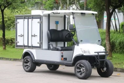 Carrito de golf Marshell Golf Buggy con refrigerador trasero eléctrico Carro (DU-CA500RF)