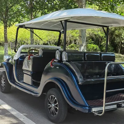 Mejor color libre personalizado 8 asientos Turismo EV Transporte turístico Vintage autobús utilitario vehículo Tour eléctrico motorizado Potencia clásica Retro Precio de venta de automóviles