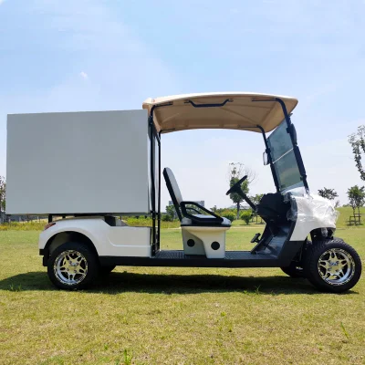 2 Electric Food Delivery Car 4X4 72V plazas de litio Golf Carrito para el Servicio de habitaciones del Hotel