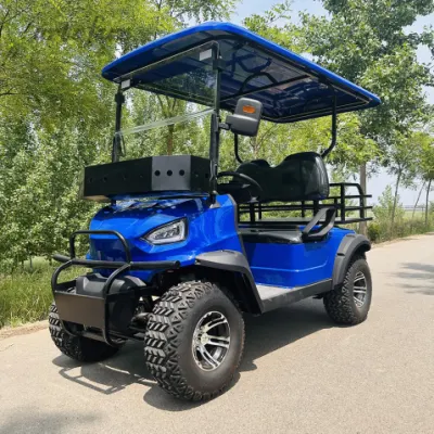 2024 Scooter eléctrico/ gasolina Cart 4 6 seater icono usado Carros de golf con gas y personalización gratuita