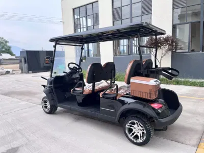 LSV City Tourist Car Street Legal Golf Cart con refrigerador