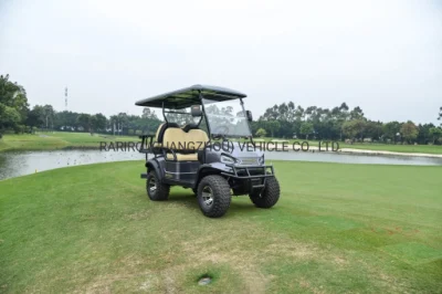 China Luxury 2 plazas Electric Power Club coches Golf Carts Para la venta