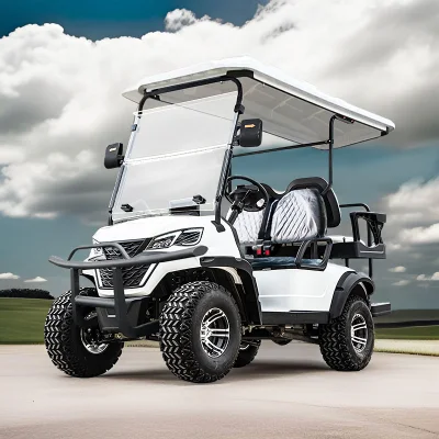 Carros de Golf modificados 4 pasajeros coche eléctrico personalizado especializado