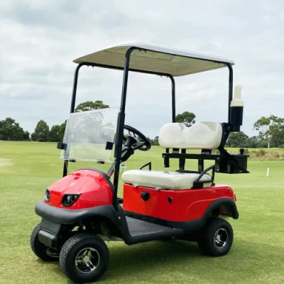 Nuevo Carro de Golf Modelo 2 plazas con grandes compartimentos de almacenamiento