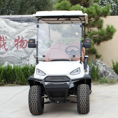 Color Personalización Green Energy Classic Golf Course Club Car Cool EV no Gas Aeropuerto 4 Transporte de pasajeros Mini golf eléctrico Carro para la venta