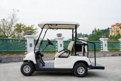 Electric 4X4 2 Plazas la caza de carros de golf 48V 5000W con certificado CE Coche+eléctrico+Golf