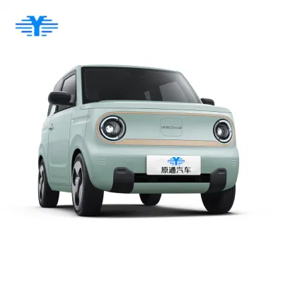 Chin 2023 coches eléctricos pequeños coches baratos Fabricante Venta directa Nuevo vehículo eléctrico de Energía para Geely Panda Mini