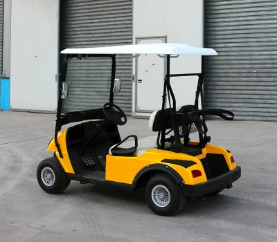 Carrito de Golf clásico de calidad superior con 2 asientos