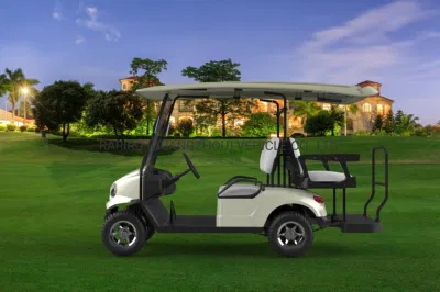 Nice Club Car Golf Carts Electric Cart Venta caliente