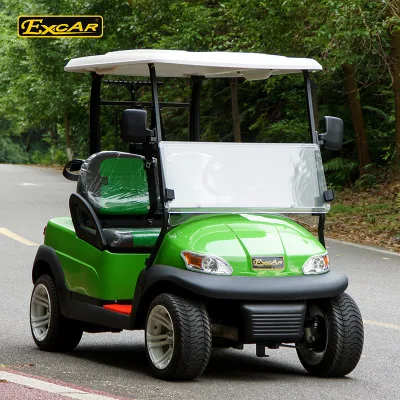 2 Personas nuevo carrito de golf Mini Eléctrico