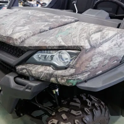 Off Road All-Terrian duradera UTV Vehículo Utilitario eléctrico