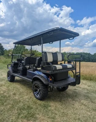 Carrito de Golf de descuento de Niza de fábrica directa con poder fuerte Y batería de litio
